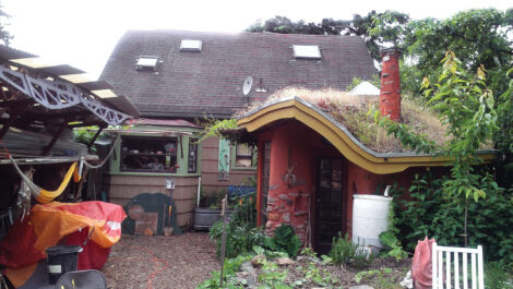 Cob Shed Living Roof